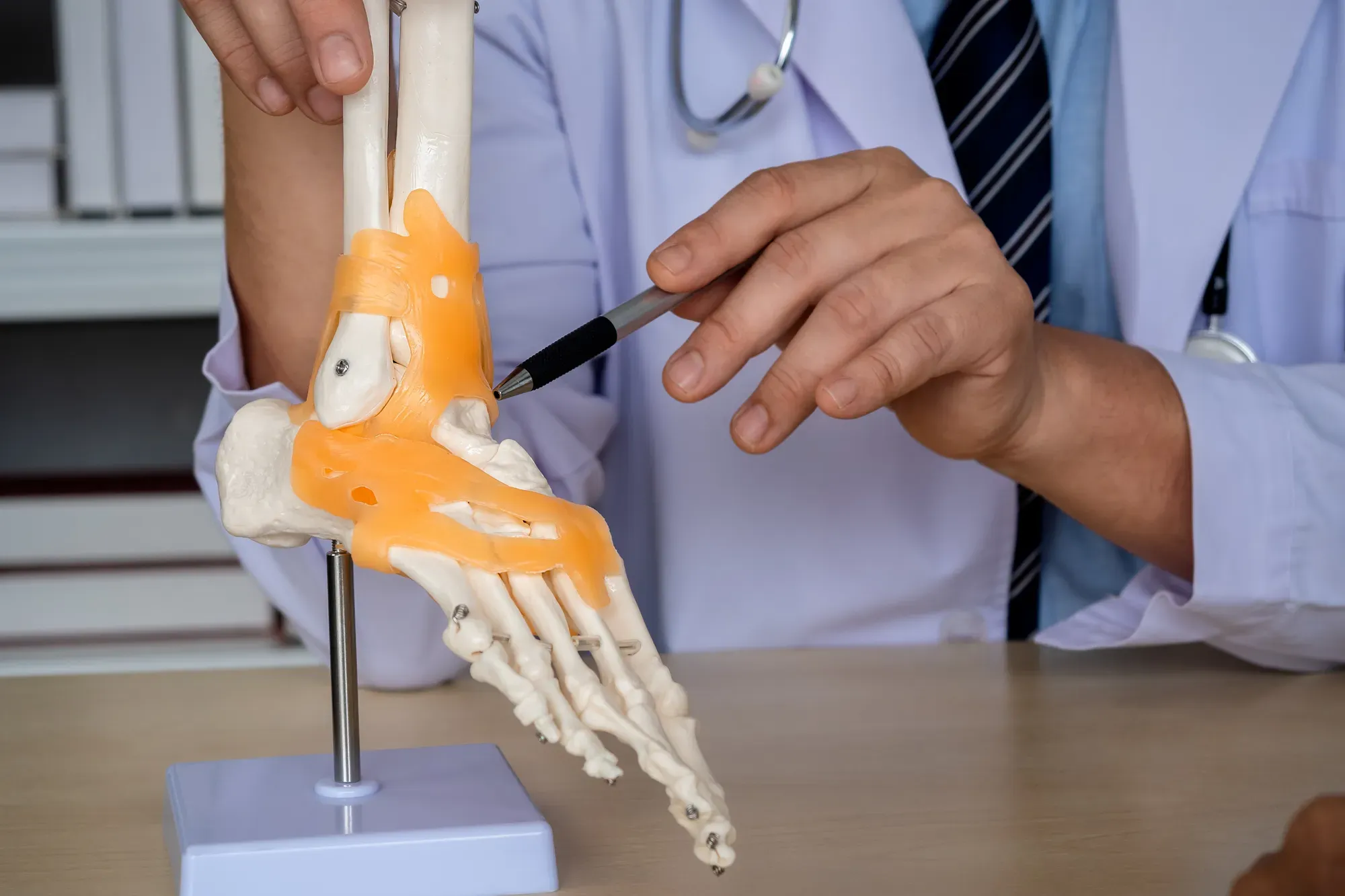 A medical professional referring to a model of the human foot in a consultation for Achilles pain management