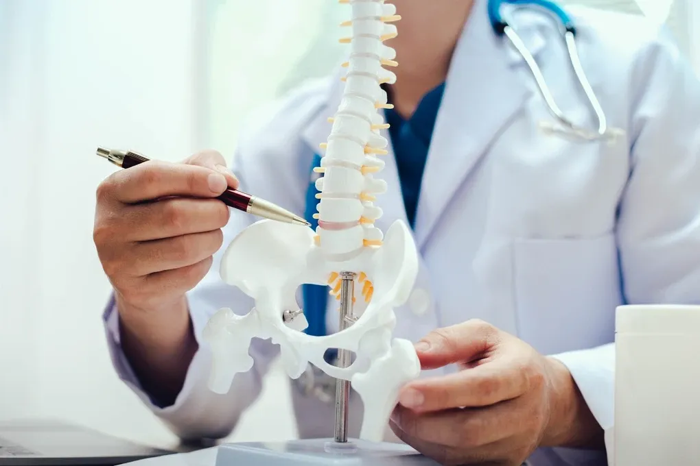 Understanding Orthopaedics
