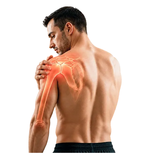 Shoulder