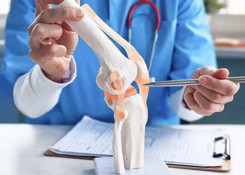 Orthopaedic doctor explaining knee joint anatomy using an anatomical knee model during a patient consultation.