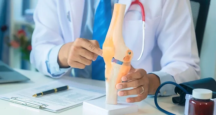 Orthopaedic doctor explaining a knee joint model during a patient consultation