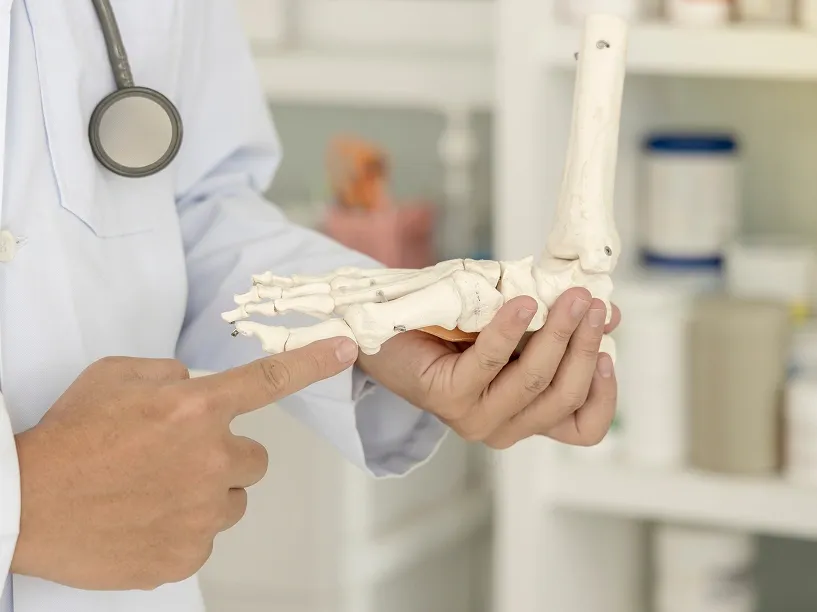 A medical professional in a lab coat pointing to the big toe joint of an anatomical foot and ankle skeleton model.